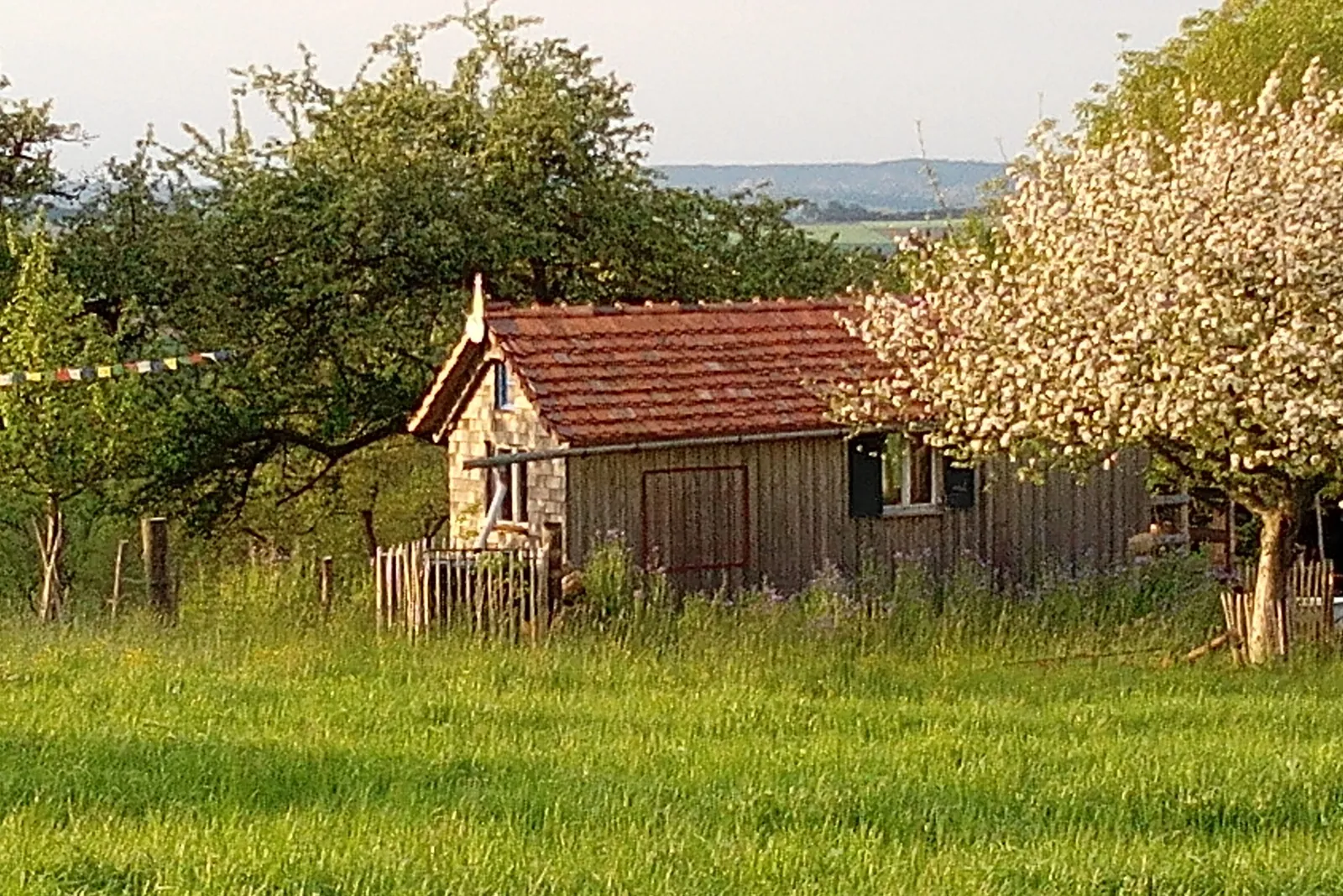 Haus auf Rädern mit Fernblick – Bild 10