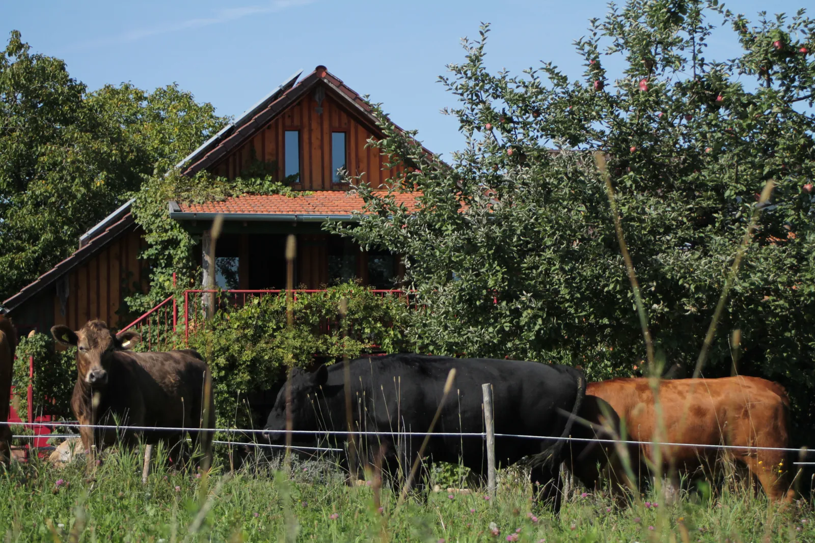 Impressionen vom Hof der Familie Espenberger – Bild 2